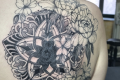 Titelloses-348_20240226172526