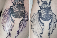 Titelloses-348_20240226172828