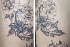 Titelloses-519_20250127163627