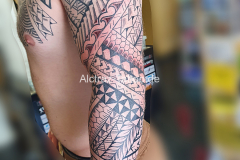 Arm1